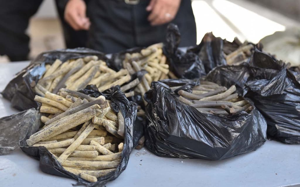 O‘zbekiston–Tojikiston chegarasida jami 26 kg narkotik musodara qilindi