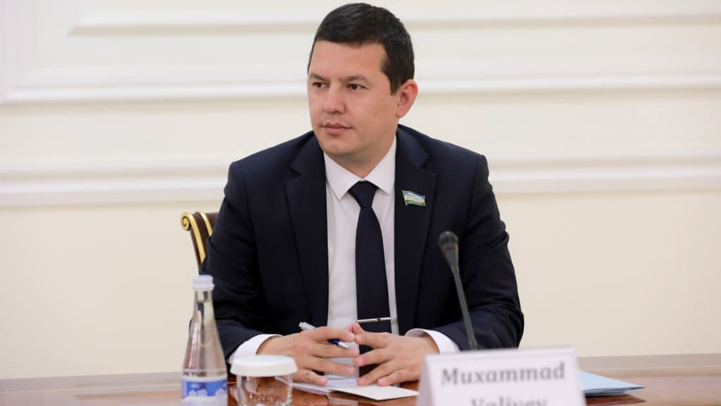 Istirohat bog‘lari va daraxtzorlar xususiylashtirilmaydi