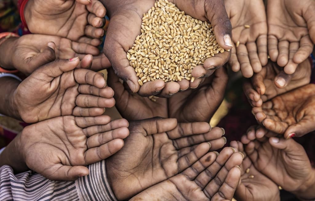 Ochlik xavfi global inqirozga aylanmoqda — 300 mln inson tahlika ostida