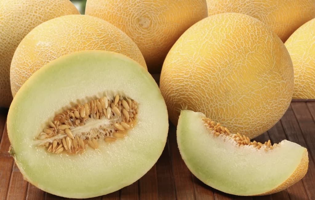 Surxondaryoda qovundan zaharlanish holatlari tasdiqlanmadi