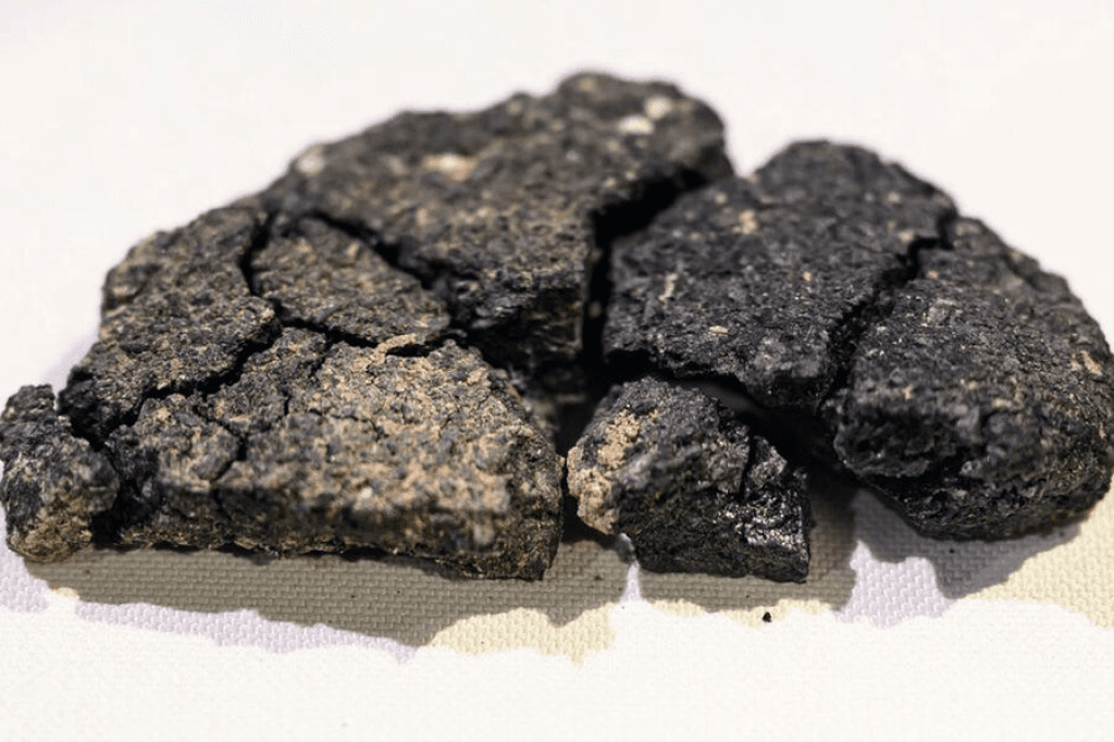 Turkiyada 5000 yillik non topildi va u qadimiy retsept asosida qayta tayyorlanmoqda