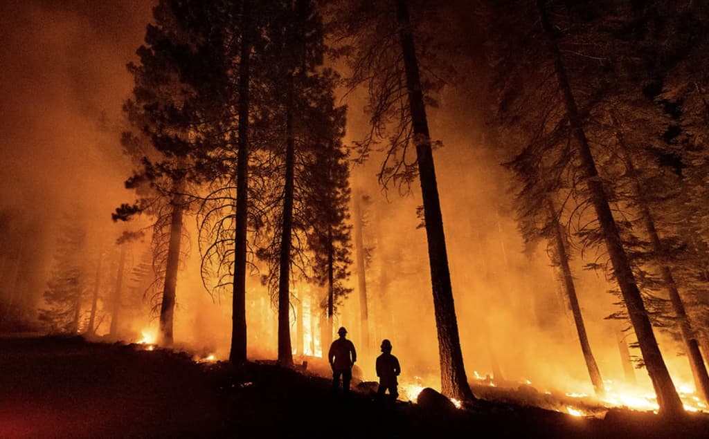 Kanadada yirik yong‘inlar tufayli 17 ming kishi ko‘chirildi