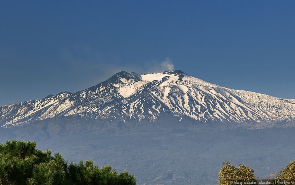 Олимлар ёнғин ва вулқон хавфини дарахт сигналлари орқали башорат қилмоқда