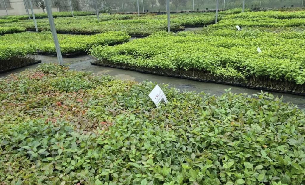 O‘zbekiston Mo‘g‘ulistonga 200 ming dollarlik mahsulot eksport qilmoqchi