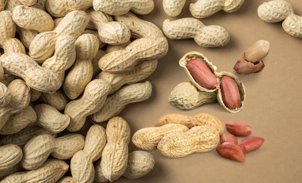 O‘zbekiston yeryong‘oq eksportida Qozog‘iston yetakchi bozorga aylandi