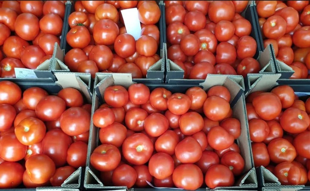 O‘zbekiston pomidor bozorida Turkmanistonga mag‘lub bo‘lyapti: eksport 4 yildirki pasaymoqda