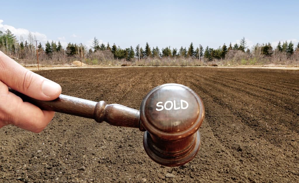 Davlat yerini 1,1 mlrd so‘mga sotish rejasi 300 millionda tugadi