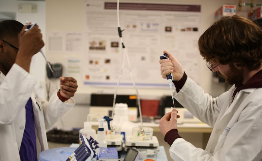 Olimlar xona salqinligini saqlaydigan yangi bo‘yoq yaratdi