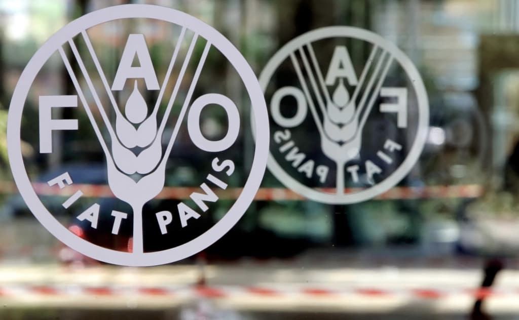 O‘zbekiston FAO Kengashiga saylandi