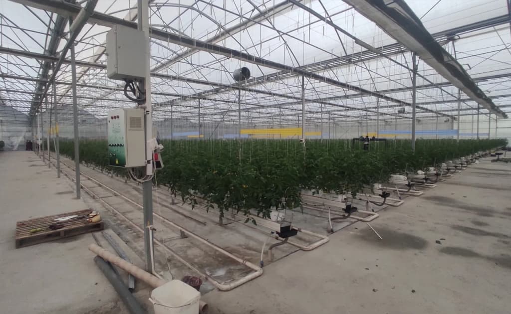 Qonun bilan havoni tozalash: Issiqxona gazlarini cheklash bo‘yicha yangi tartib joriy etildi