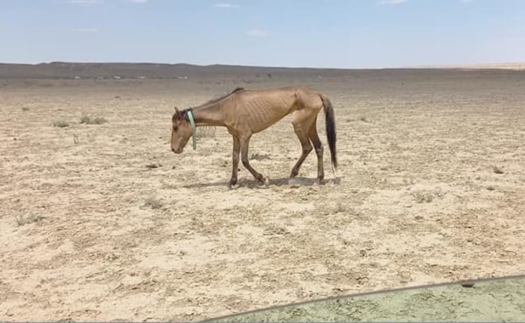 Markaziy Osiyoda suv tanqisligi: Sovet loyihasi yana kun tartibida