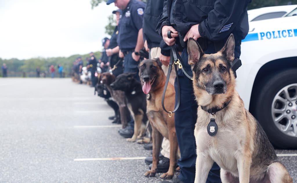 O‘zbekiston Koreyaga yana 6 ta xizmat itini eksport qildi
