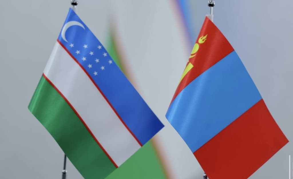 Junni qayta ishlash sohadagi mahalliy mutaxassislar Mo‘g‘ulistonda o‘qitiladi