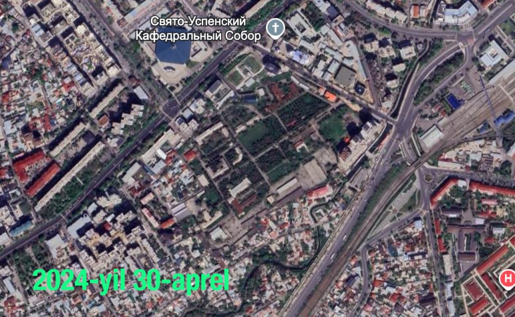 Toshkentda daraxtlar kesilishi yuzasidan deputatlik so‘rovi yuborildi