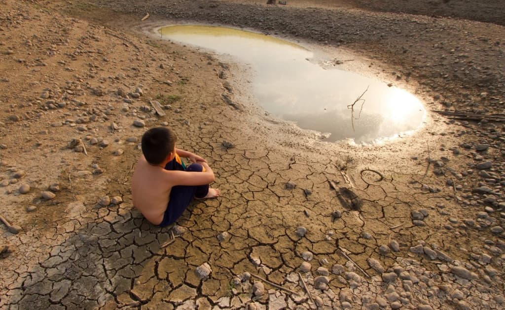 Глобал исиш сабабли озиқ-овқат нархлари ошиб, инсон саломатлигига таҳдид пайдо бўлмоқда