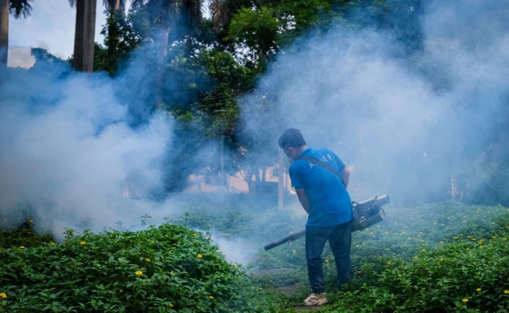 Хитойда чивинлар орқали юқадиган касаллик кескин кўпайди