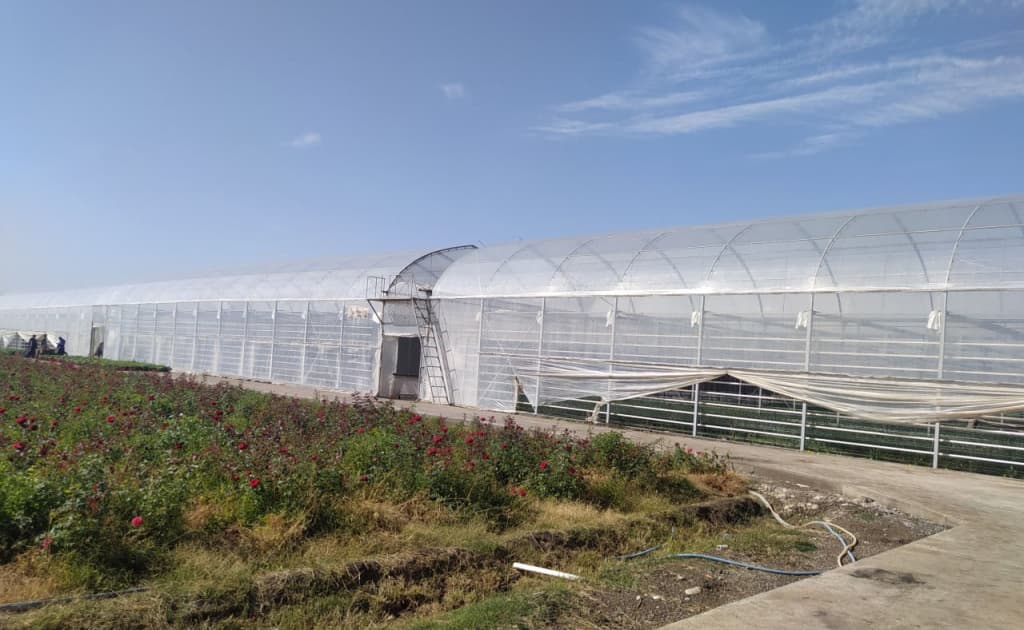 2,6 mingdan ortiq issiqxonalarning soliq to‘lovlari muddati 2026 yilgacha uzaytirildi