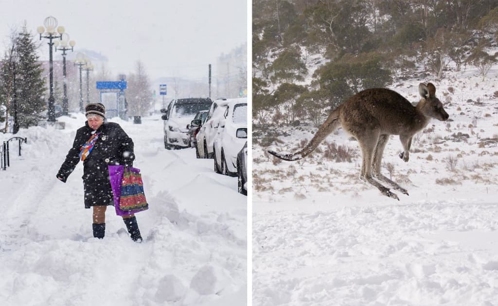 Avstraliyada 40 yilda ilk bor rekord darajada qor yog‘di