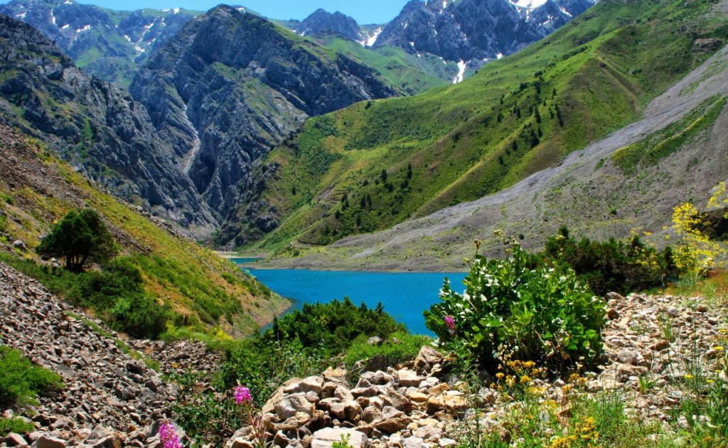 O‘zbekiston statistikasidagi xato global iqlim tadqiqotida katta chalkashlikka sabab bo‘ldi