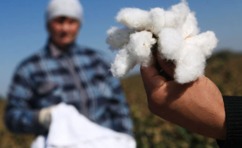 Yuliy Yusupov: «Boshboshdoqlik-Korrupsiya-Samarasizlik: O‘zbekiston to‘qimachilik sohasi inqirozining asosiy sabablari»