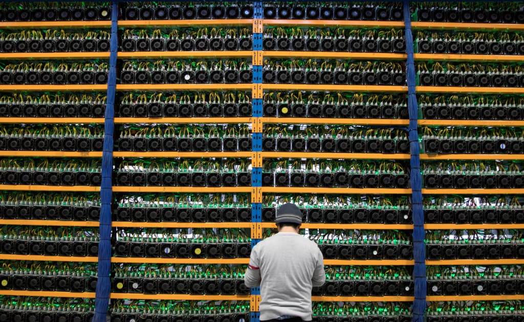 Qoraqalpog‘istonda mayning uchun maxsus zona tashkil etiladi