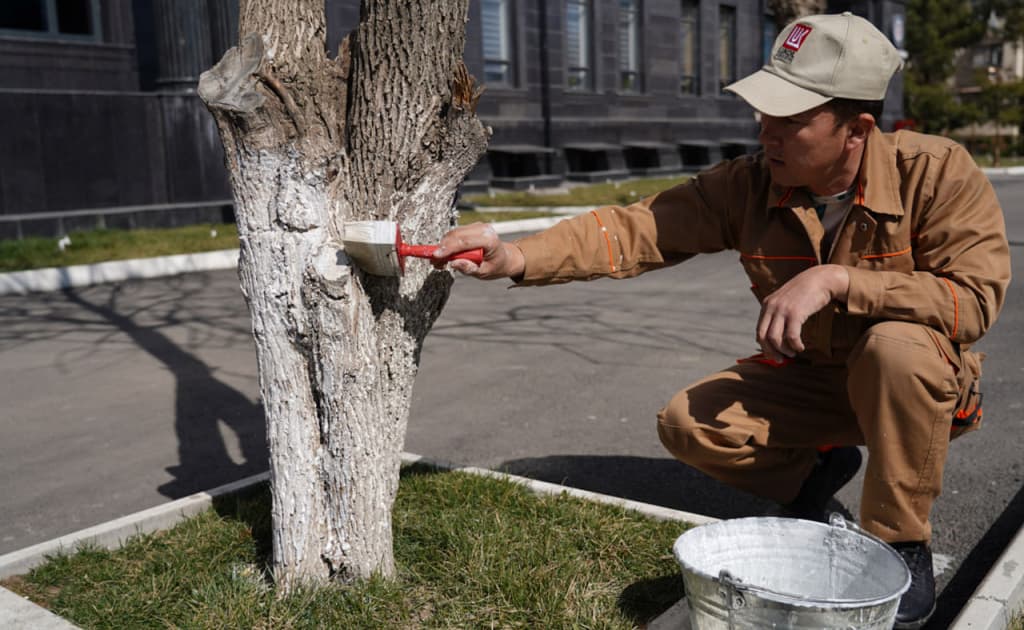 22−23 avgust kunlari O‘zbekistonda umumxalq xayriya hashari o‘tkaziladi