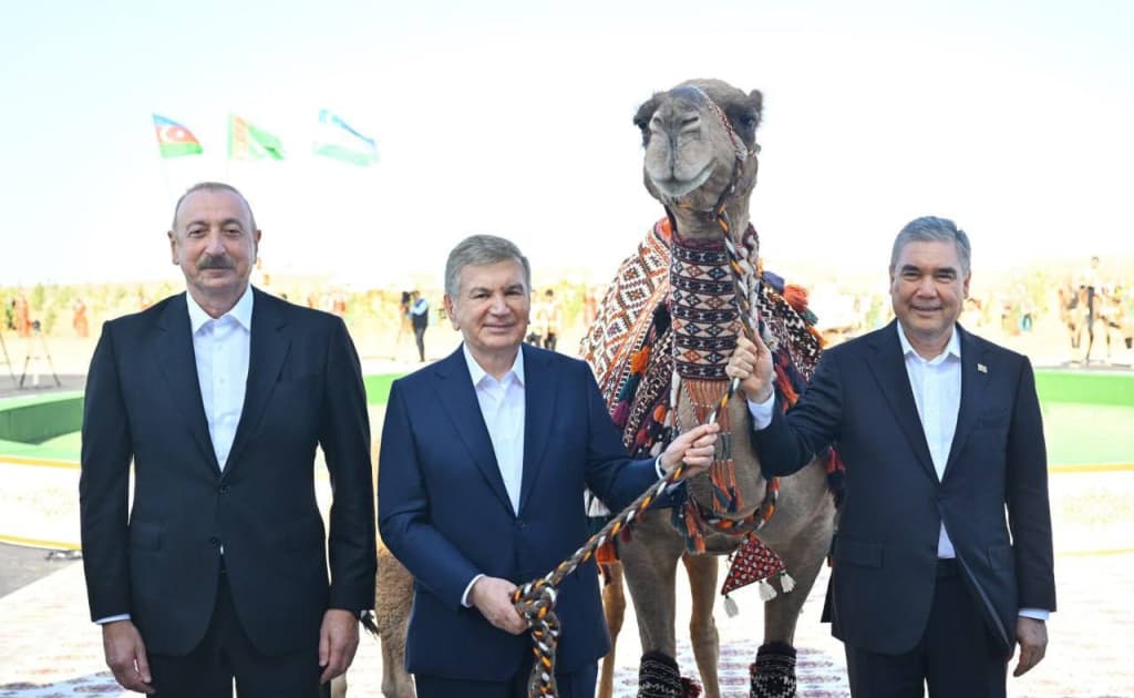 Berdimuhammedov Mirziyoyevga tuya va bo‘taloq, Aliyevga axaltekin oti sovg‘a qildi