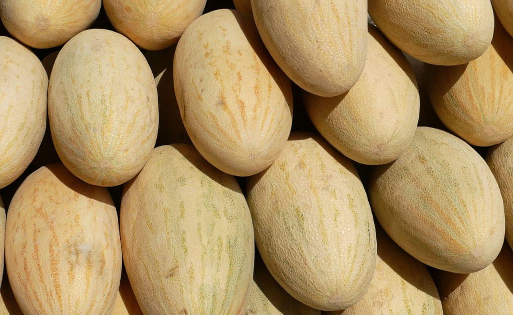 O‘zbekistondan olib borilgan 21 tonna qovun Qirg‘izistonga kiritilmadi