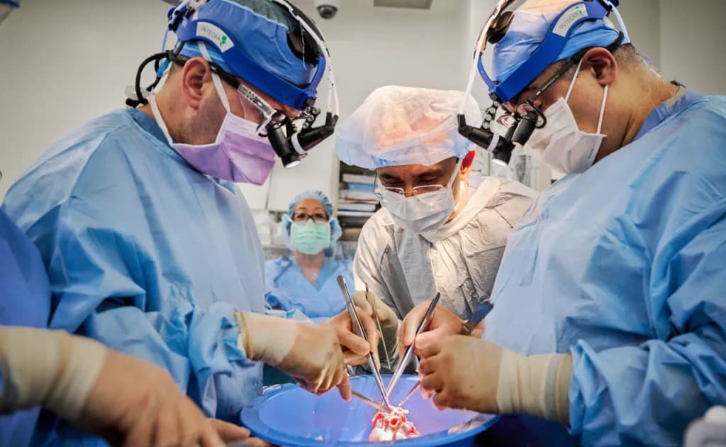 Одамга илк бор чўчқа ўпкаси кўчириб ўтказилди