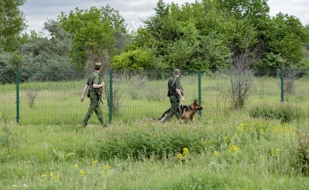Qirg‘iziston va O‘zbekiston chegarasida ikki qirg‘izistonlik otib o‘ldirildi