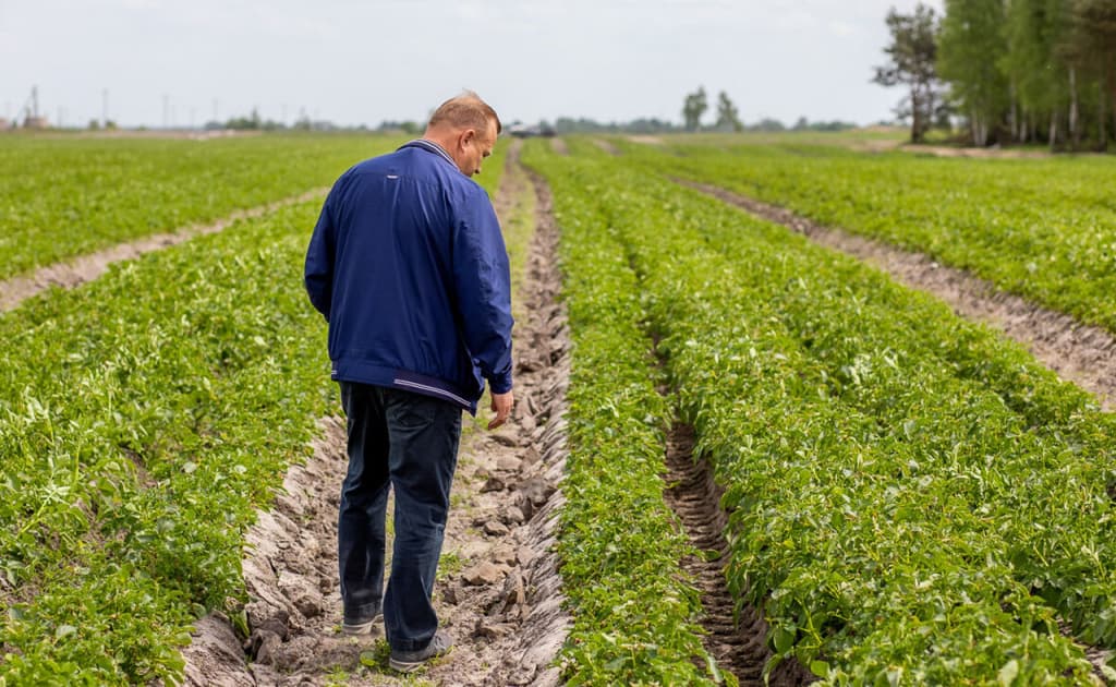 Fermer va dehqonlar uchun QQS bekor qilinadi
