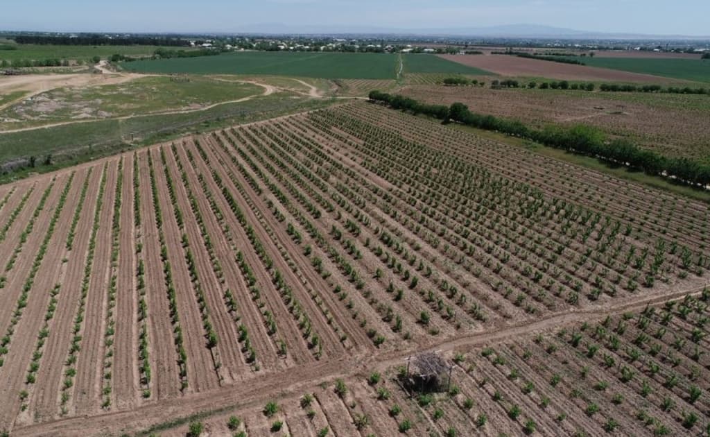 O‘zbekistonda yerlarning 96 foizi elektron xaritaga tushirildi