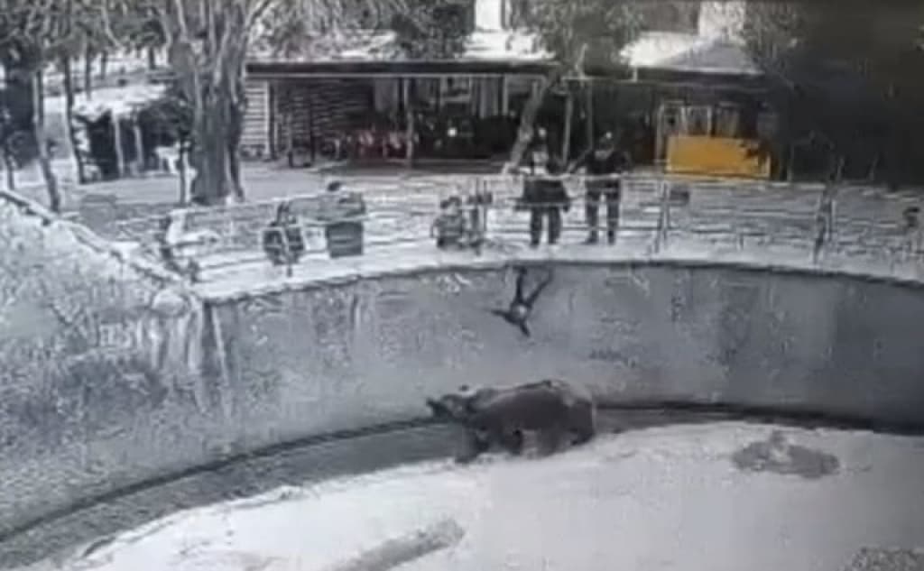 Uch yil avval qizini ayiq qafasiga tashlab yuborgan ayol o‘sha farzandini pichoqlab o‘ldirdi