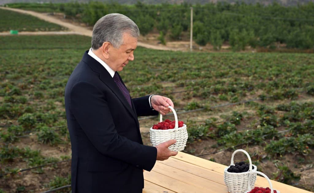 Hozir ham dalada qulupnay bor. Prezident guvoh