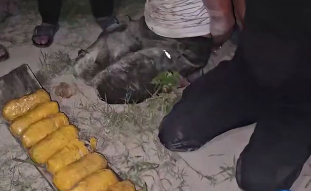 Afg‘onistondan olib kelingan katta miqdordagi narkotik moddalar musodara qilindi