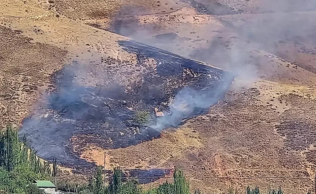 O‘rmon agentligi FVV rad etgan Bo‘stonliqdagi yong‘inni tasdiqladi