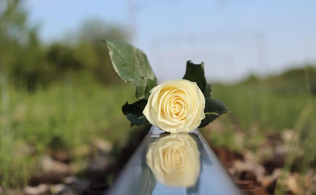 Ikki tig‘li pichoq: media suitsid haqida gapirishi kerakmi?