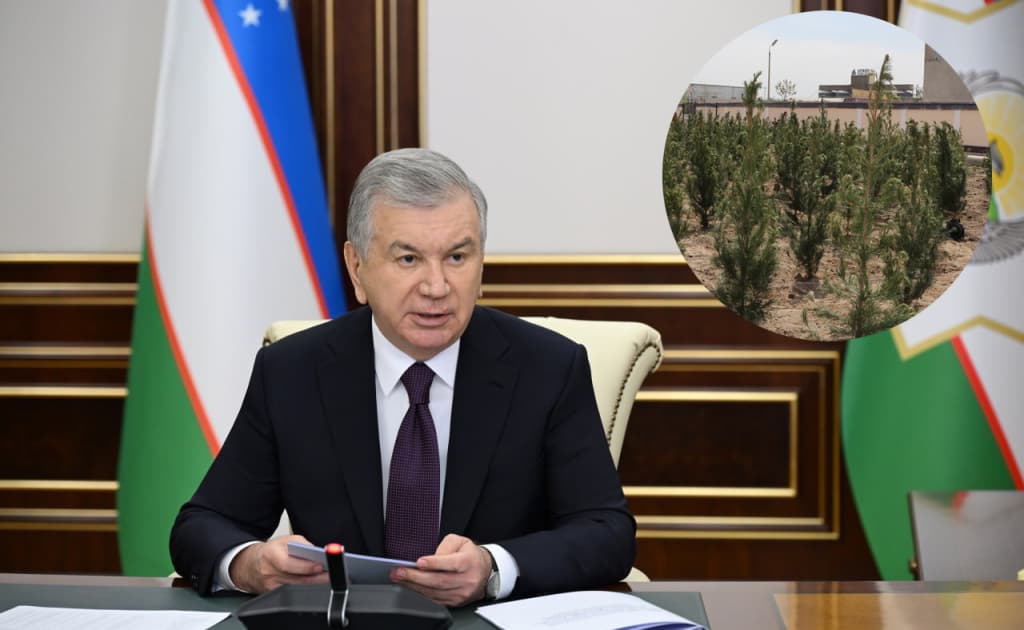 Prezident: «Bahorda ekilgan 27,5 mln ko‘chat quridi»