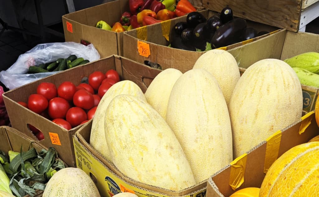 O‘zbek qovunlari ilk bor Singapur bozoriga yetkazib berildi