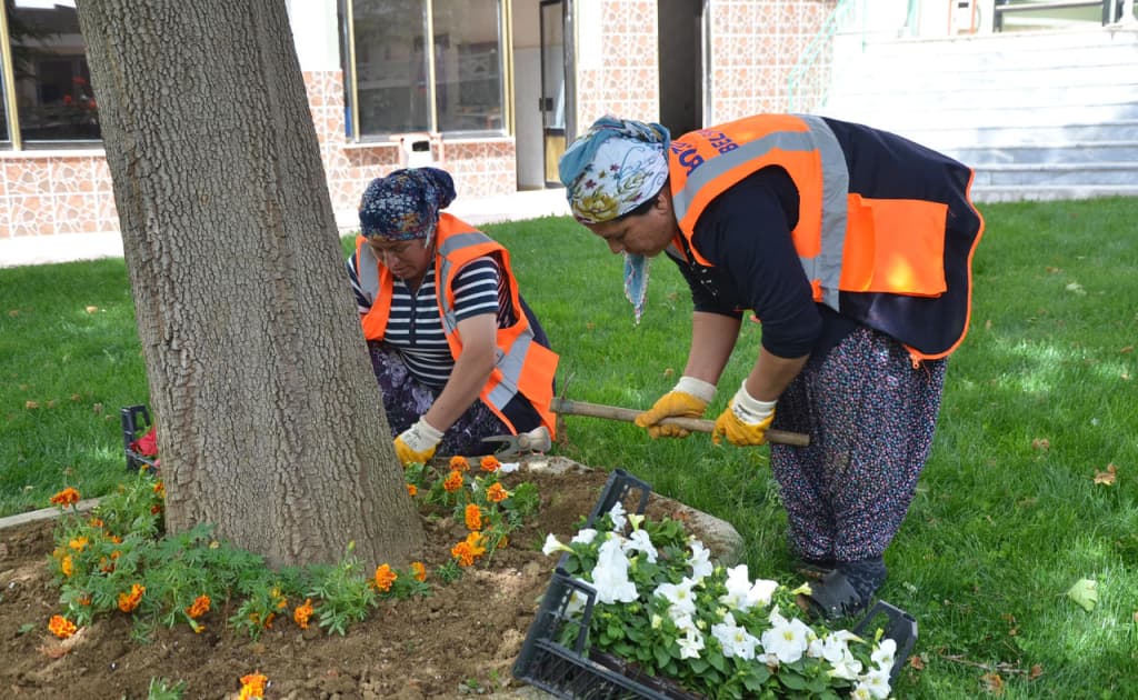 Toshkent shahrida mavsumiy gul ekish uchun 10 mlrd so‘m ajratildi
