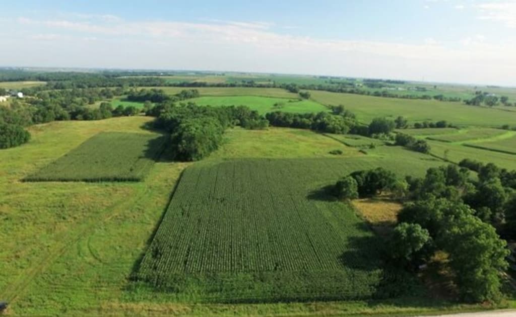 Ijaraga olingan yerlarni kredit uchun garovga qo‘yish huquqi berildi