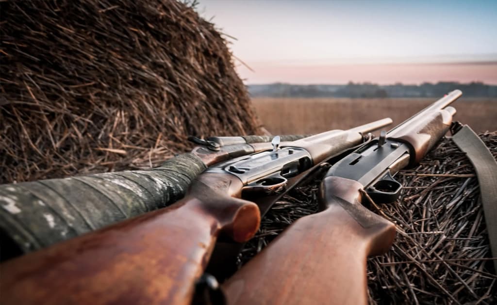 Jizzaxga ovga borgan samarqandlik erkak sherigini cho‘chqa deb o‘ylab otib qo‘ydi