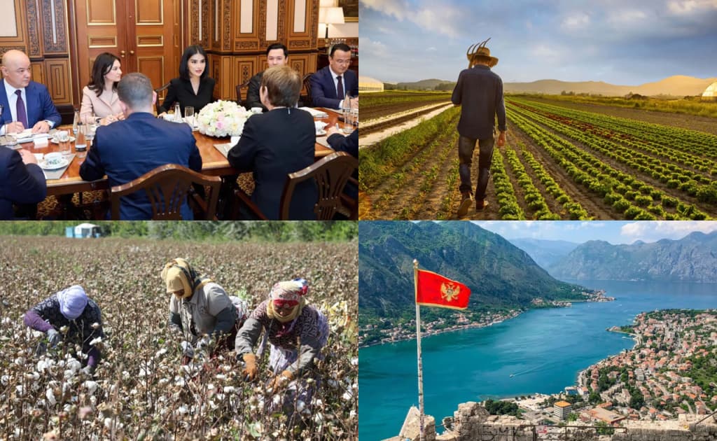 Mirziyoyev va Putin suhbati, O‘zbekistonga vizasiz rejimni bekor qilgan Chernogoriya va YeTTB prezidenti bilan uchrashgan Mirziyoyeva — 14 oktyabr dayjesti