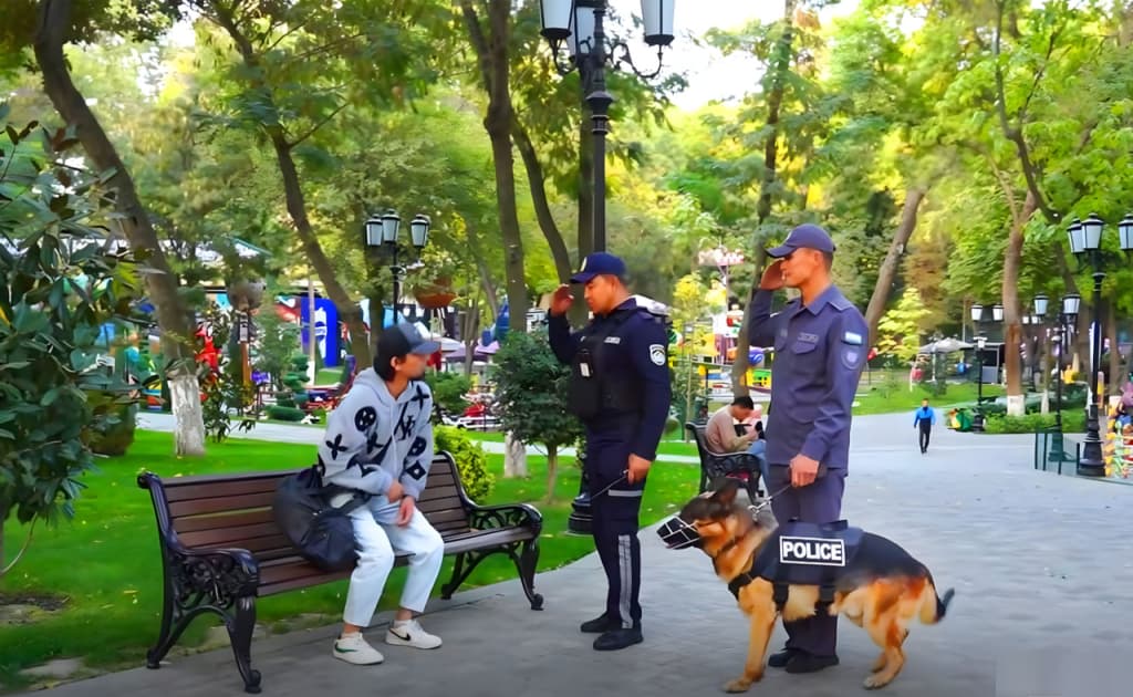Toshkent shahridagi jamoat joylarida xizmat itlari yordamida nazorat kuchaytirildi