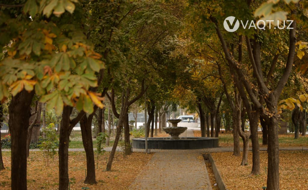 O‘zgidromet 27–31-oktabr kunlari kuzatiladigan ob-havo haqida ma’lumot berdi