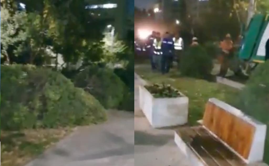 Toshkent shahar hokimligi Bobur ko‘chasida kesilgan archalar yuzasidan bayonot berdi