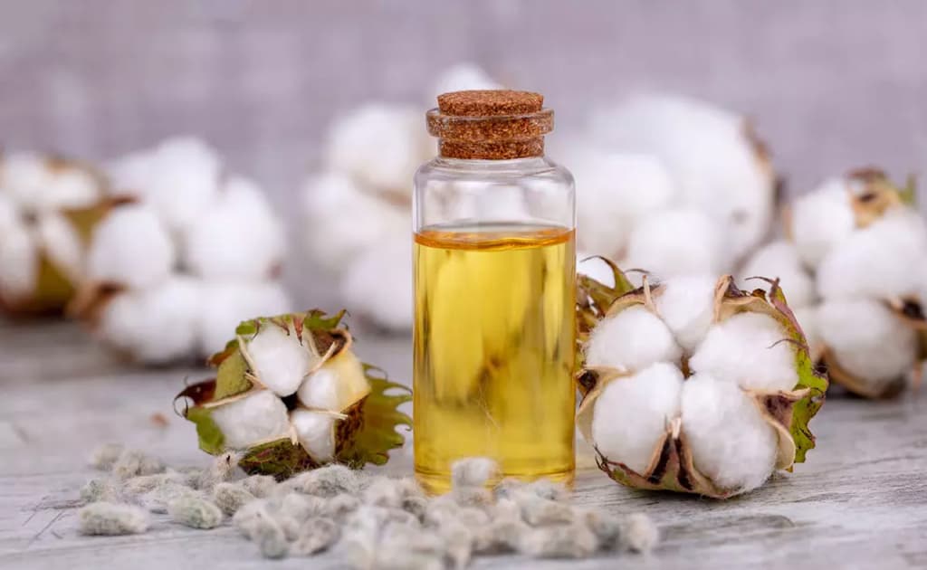 Birja savdolarida un va paxta yog‘i narxlari pasaydi