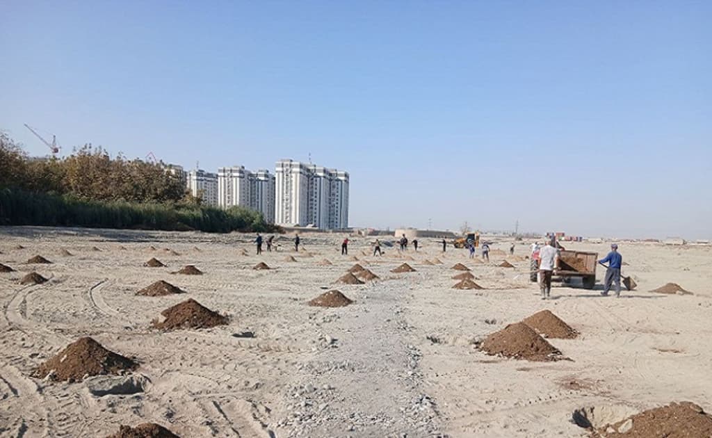 Samarqandda 5 gektar maydonda «UNESCO bog‘i» barpo etiladi