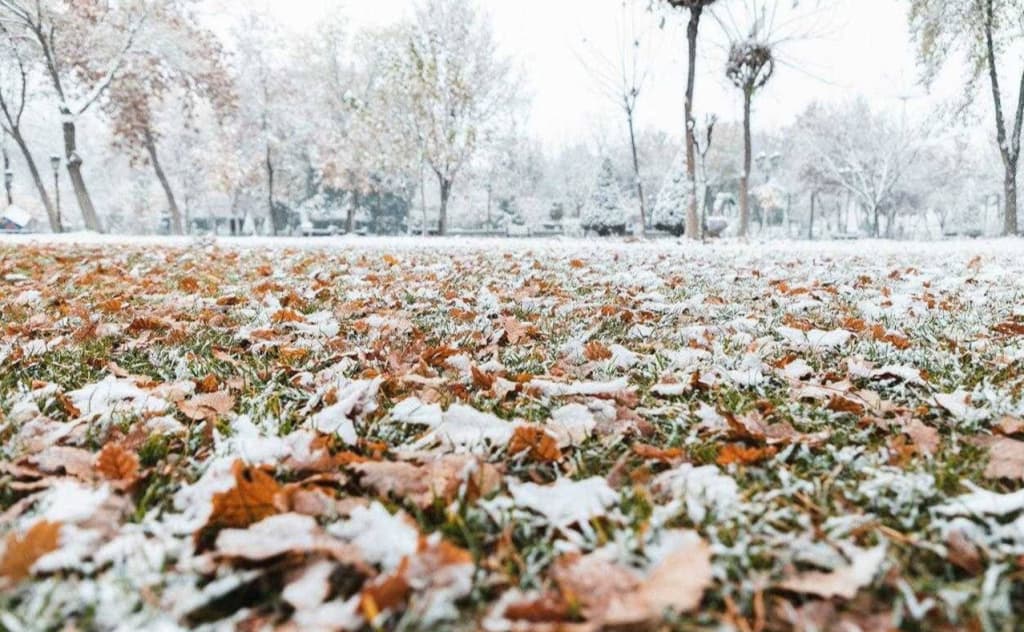Qor yaqin: 3 noyabrdan O‘zbekistonga sovuq va nam havo kirib keladi