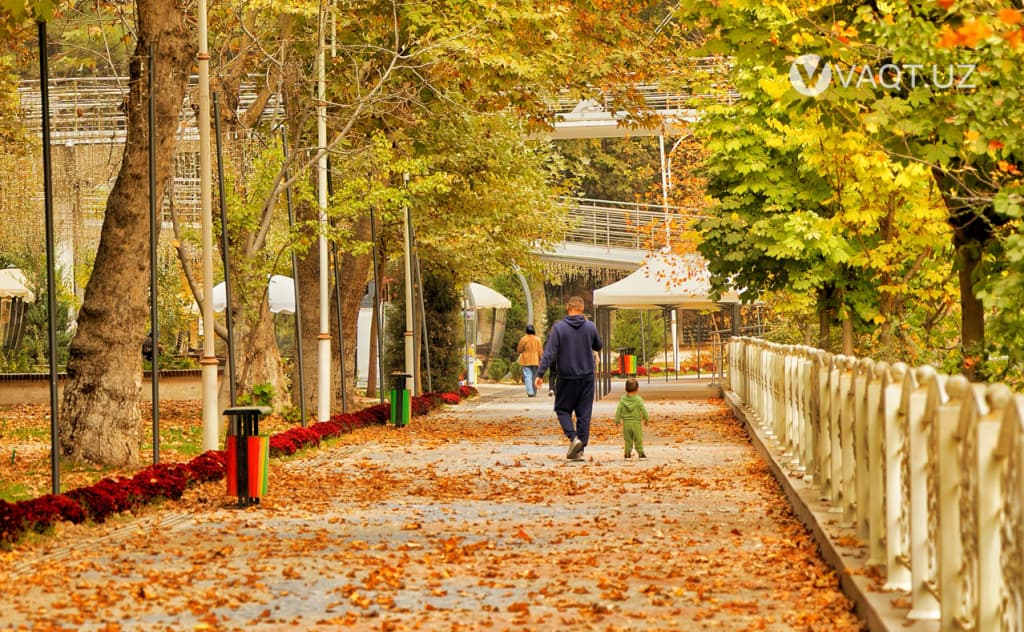 Toshkentda oltin kuz — fotogalereya